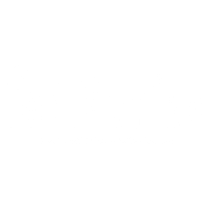 Logotype Fantastiko - Graphiste Toulouse